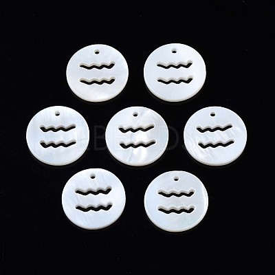 Natural Freshwater Shell Charms SHEL-N027-10E-1