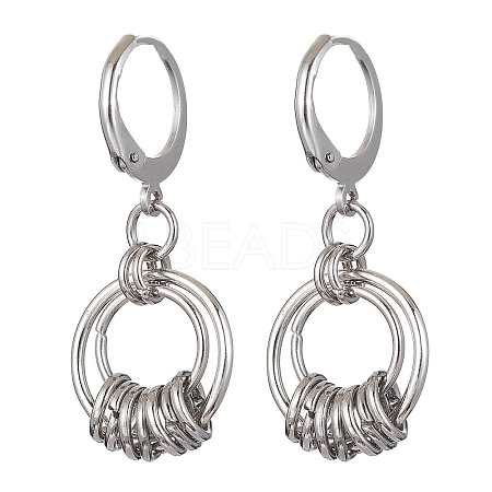 Non-Tarnish 304 Stainless Steel Leverback Earrings for Women EJEW-JE05530-1