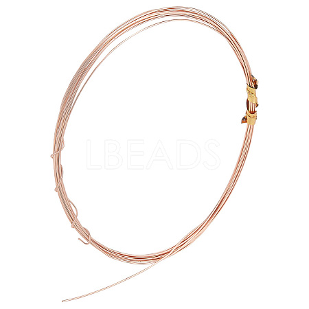 925 Sterling Silver Wire FIND-PH0008-40RG-1