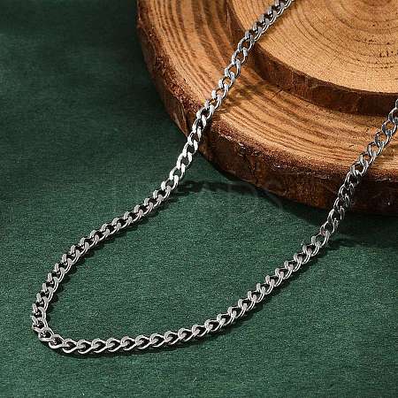 Non-Tarnish 304 Stainless Steel Curb Chain Necklaces NJEW-L162-01C-P-1