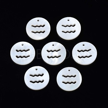 Natural Freshwater Shell Charms SHEL-N027-10E-1