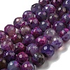 Faceted Natural Fire Crackle Agate Beads Strands G-F447-12mm-N01-2