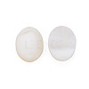 Natural Freshwater Shell Cabochons SHEL-S278-048A-2