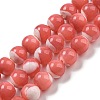 Dyed Natural Trochus Shell Beads Strands BSHE-G034-25A-1