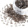 Transparent Glass Bugle Beads SEED-N005-001-C04-1