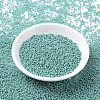 MIYUKI Round Rocailles Beads X-SEED-G007-RR0481-1