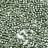 FGB 11/0 Grade A Baking Paint Glass Seed Beads SEED-S030-1208-2
