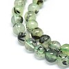 Natural Prehnite Beads Strands G-F602-01-8mm-3