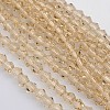 Bicone Glass Beads Strands EGLA-P016-3mm-12-1