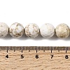 Natural Magnesite Beads Strands G-P598-E-10mm-03-5
