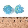 Handmade Lampwork Beads LAMP-N042-23F-3