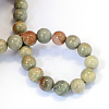 Natural Silver Leaf Jasper Round Bead Strands X-G-E334-6mm-04-3