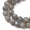 Natural Labradorite Beads Strands G-H326-01-6MM-1-4