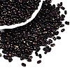 Picasso Spray Painted Glass Seed Beads SEED-T006-04-39-3