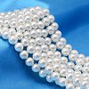 AB Color Plated Shell Pearl Round Bead Strands BSHE-L011-14mm-C001-1
