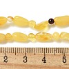 Natural Amber Beads Strands G-K387-C02-01-4