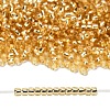 TOHO 8/0 Round Beads X-SEED-TR08-0022A-4