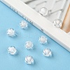 Transparent Acrylic Beads X-TACR-S089-10mm-01-6