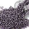 TOHO 11/0 Round Beads X-SEED-TR11-0039F-1
