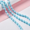 Faceted Glass Beads Strands LS-GLAA-E037-01G-4
