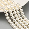 Glass Pearl Beads Strands HY-G002-01D-02-2