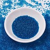 MIYUKI Delica Beads Small SEED-X0054-DBS0714-2
