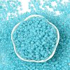 6/0 Luminous Glass Seed Beads SEED-NH0001-01N-3