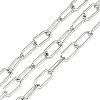 Tarnish Resistant 304 Stainless Steel Paperclip Chains CHS-F012-05P-1