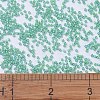 MIYUKI Delica Beads X-SEED-J020-DB2053-4