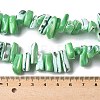 Dyed Natural Trochus Shell Beads Strands SSHEL-C013-09H-4