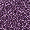 MIYUKI Delica Beads SEED-X0054-DB2182-3