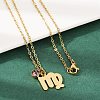 304 Stainless Steel Glass Drill Birth Stone Constellation Pendant Necklaces LS-STAS-D305-08G-F-1