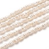 Natural Cultured Freshwater Pearl Beads Strands PEAR-J005-56-1