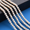 Natural Cultured Freshwater Pearl Beads Strands X-PEAR-N010-006-5