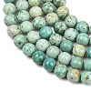 Natural Peruvian Turquoise(Jasper) Beads Strands G-F836-A02-10mm-4