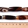 Natural Agate Dyed Beads Strands G-T138-230D-5