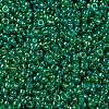 MIYUKI Round Rocailles Beads X-SEED-G009-RR0354-3
