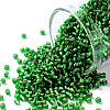 TOHO 11/0 Round Beads X-SEED-TR11-0027BF-1