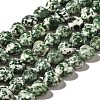 Natural Green Spot Jasper Beads Strands X-G-R190-10mm-68-2