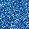 TOHO Round Seed Beads SEED-XTR08-0917-2