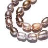 Natural Cultured Freshwater Pearl Beads Strands PEAR-S017-009-4