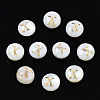 Natural Freshwater Shell Beads SHEL-S278-036X-1
