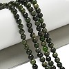 Natural Green Diopside Beads Strands G-K382-B01-01-2
