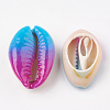 Spray Painted Natural Cowrie Shell Beads X-SHEL-S274-01-3