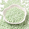 Opaque Colours Luster Glass Seed Beads X1-SEED-B001-01A-10-2