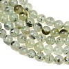 Natural Prehnite Beads Strands LS-GG-CBA7D2C-A01-6mm-3
