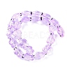 Transparent Glass Enamel Beads Strands GLAA-B021-06B-2