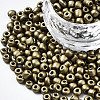 6/0 Glass Seed Beads SEED-S058-A-F216-1