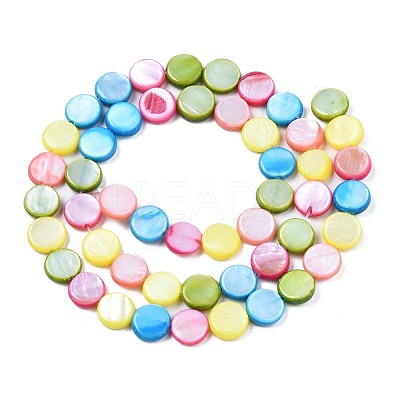 Freshwater Shell Beads Strands SHEL-T009-B16-06-1