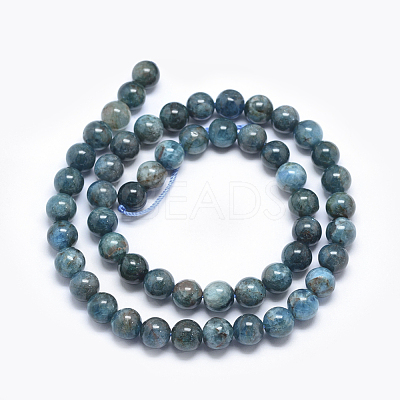 Natural Apatite Beads G-E481-05-8mm-1